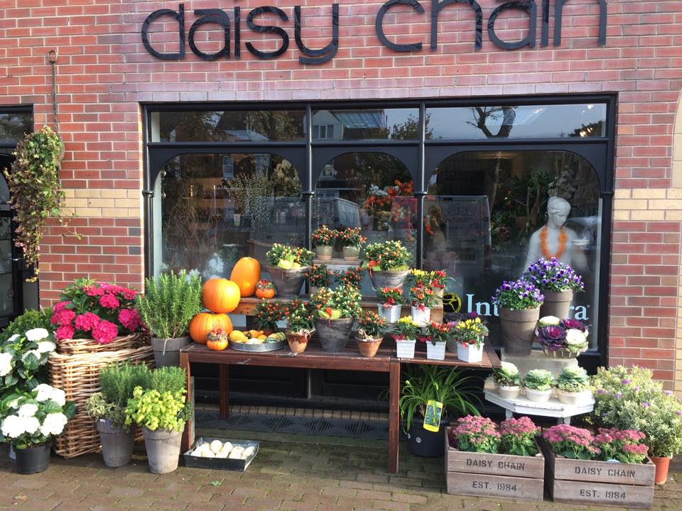 Florist Leeds - Daisy Chain