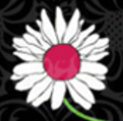 Florist Flowers By Suzy Liu Glasgow Logo