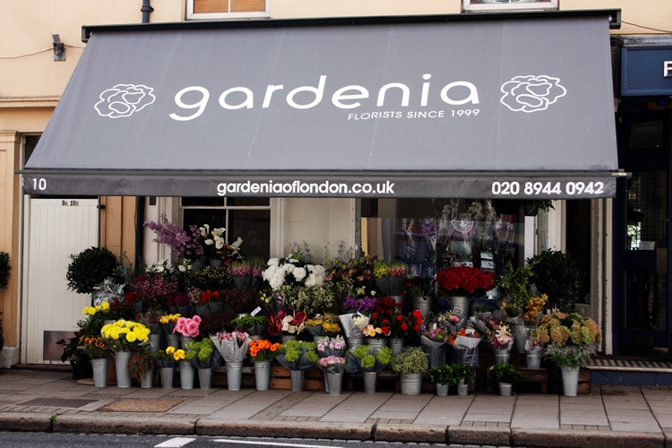 Gardenia of London Florist
