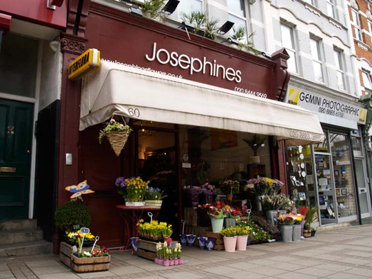 Josephines Flowers London Florist