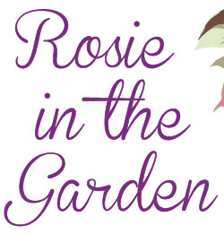 Rosie-in-the-Garden-florist-Telford-Logo