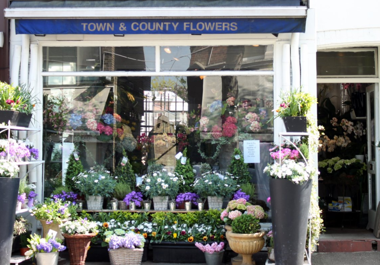 Town and Country Flowers london florist