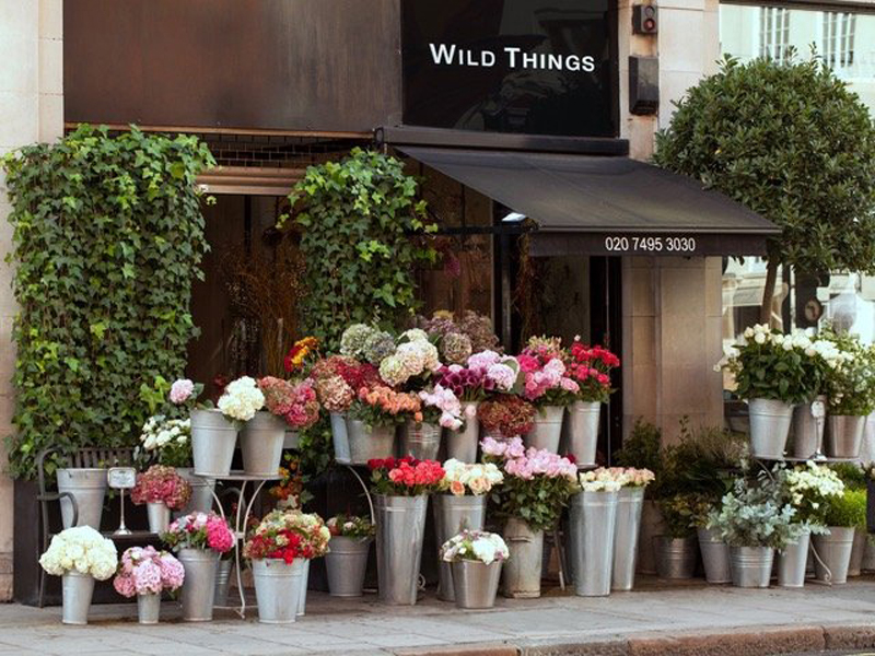 Wild Things London Florist