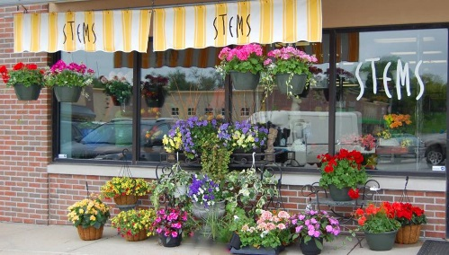 Stems Omaha Florist Nebraska