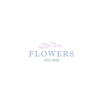 Flowers Balham